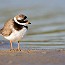 thumbs/IMG_1160.jpg